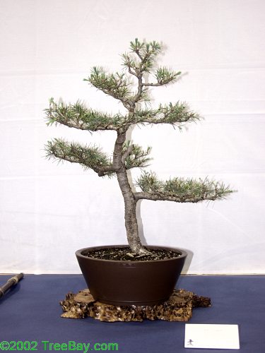 2002Betsuin 156_adj.jpg